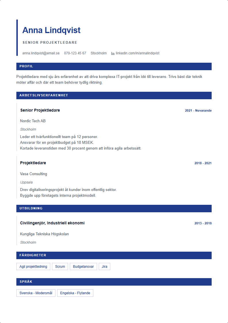Affär CV Mall — professionell CV-mall förhandsvisning